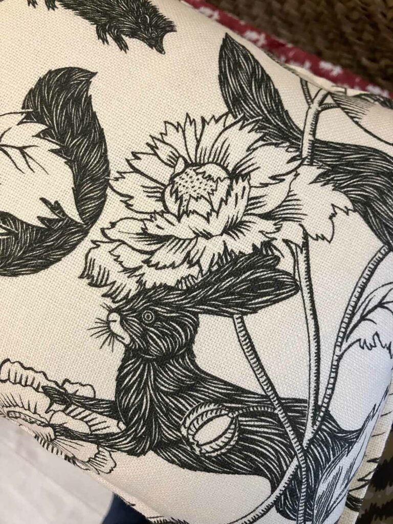 Coussin Crépuscule Antoinette, Poisson